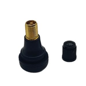 Ventiel Kort Recht - 33mm lang - Ø 11,5mm - TR413 - 597679